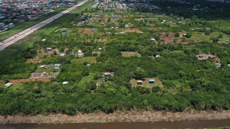 CHPA Clarifies Regularization Process in Arcadia (Mocha)