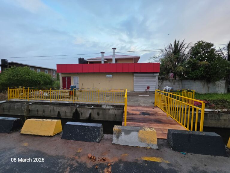 Ministry Demolishes Unlawful Bridge at Eccles