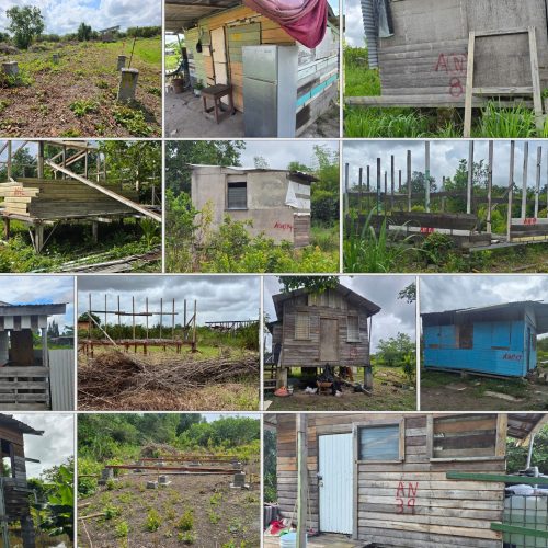 From Uncertainty to Opportunity: How Regularisation and Infrastructure Are Transforming Plantation Arcadia Block IX(Mocha)