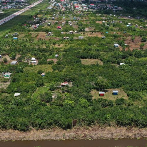 CHPA Clarifies Regularization Process in Arcadia (Mocha)